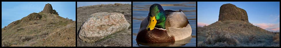 (Left to right)South Spire on Hermiston Butte, Ice-rafted erratic, Mallard Drake, Hat Rock.