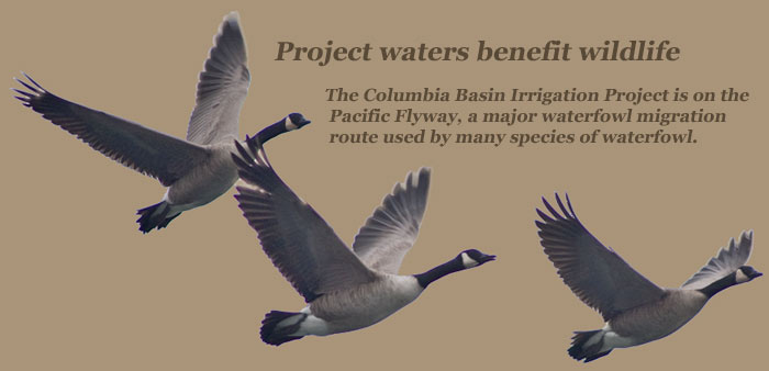 Columbia Basin Irrigation Project and Columbia Basin Wildlife Refuge.
